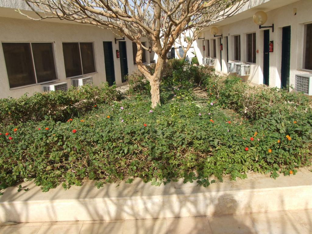 Nefertari Hotel Abu Simble Abou Simbel Extérieur photo